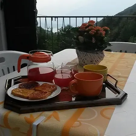 Livo Apartamento *